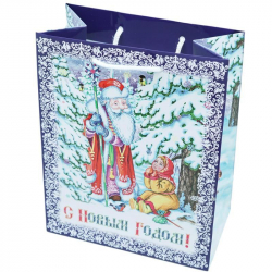 Пакет подарочный бумажный Яркий праздник Морозко (17.8x22.9x9.8 см)