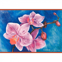 Альбом для рисования Изящные орхидеи А4 40 листов