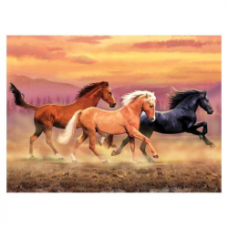 Раскраска по номерам Бегущие лошади 28x39 см