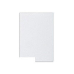 Пакет Белый С5 стрип Businesspack 160х230 80г 500шт/кор 