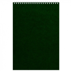 Блокнот Альт Офис 1 А4 60 листов зеленый в клетку на спирали (200х290 мм)