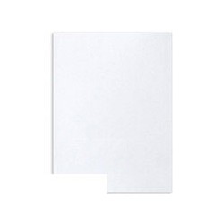 Пакет Белый E4 стрип Businesspack 300х400 100г 500шт/кор 